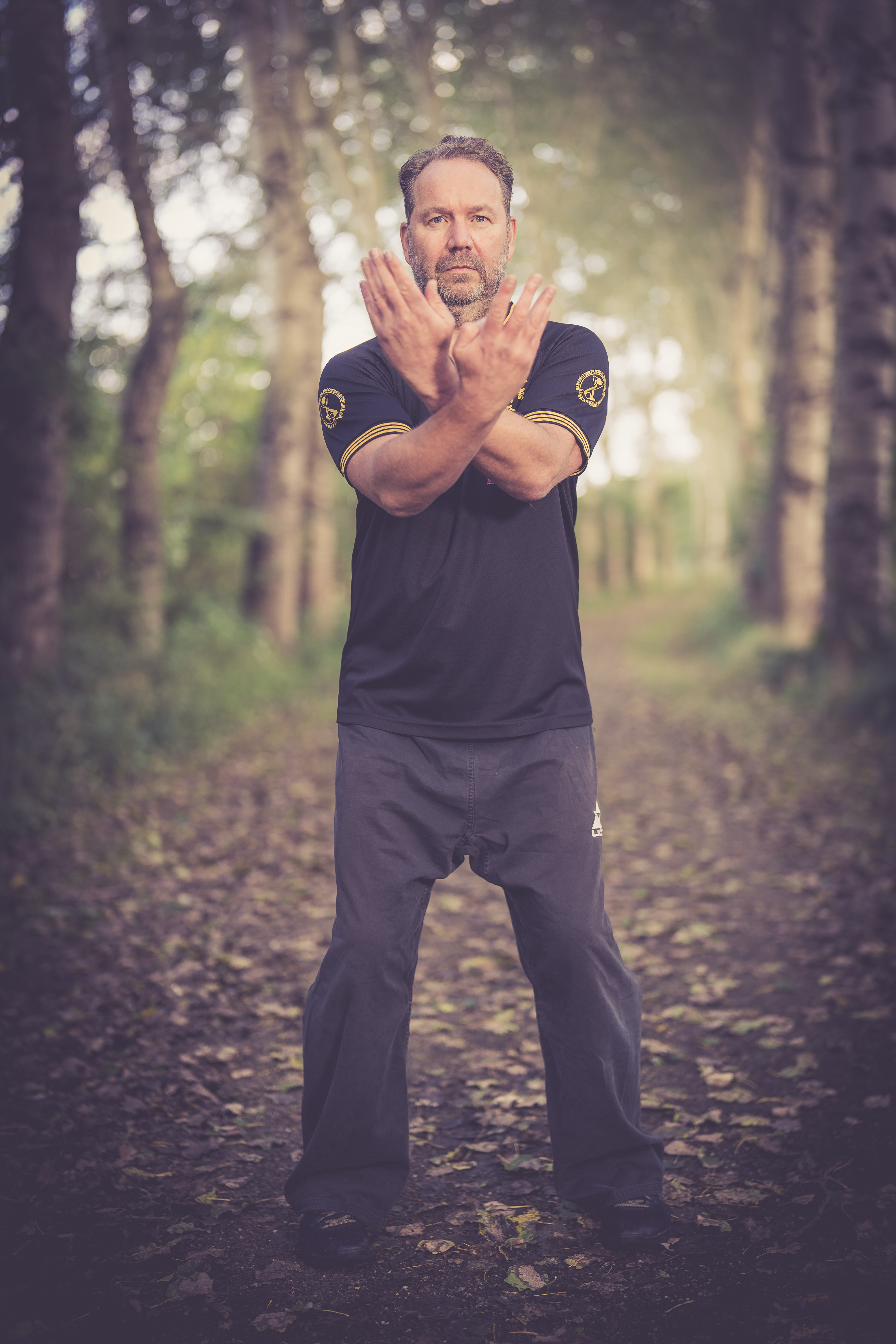 Wing Chun techniques